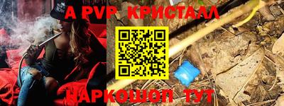 индика Будённовск