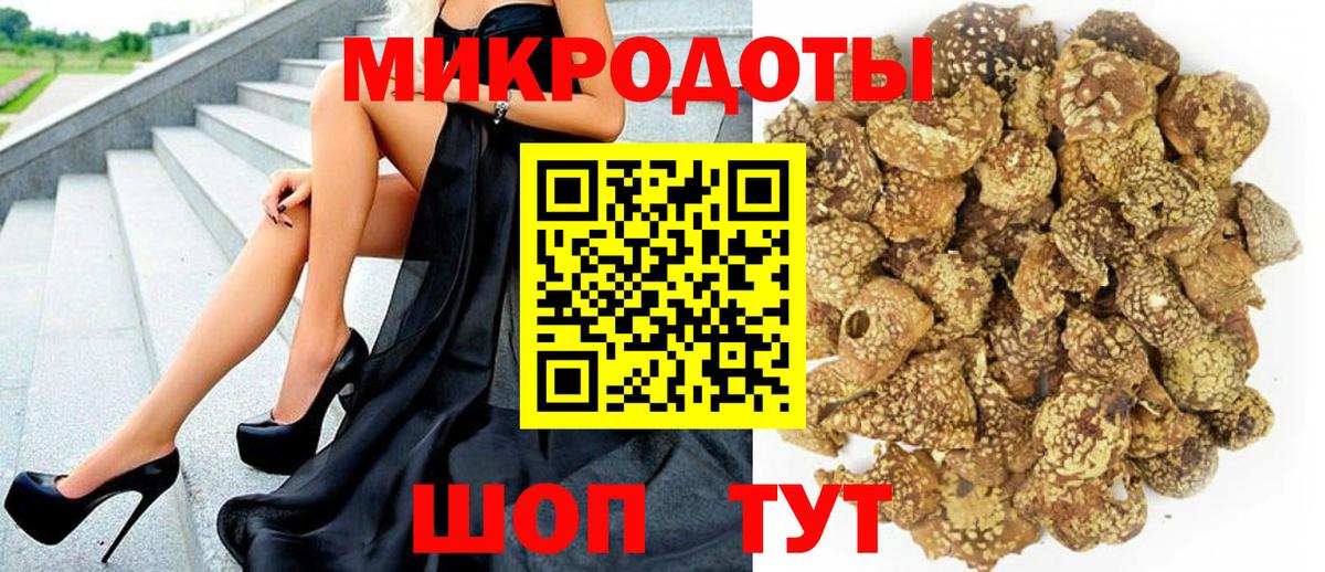 Галлюциногенные грибы Psilocybe Кунгур