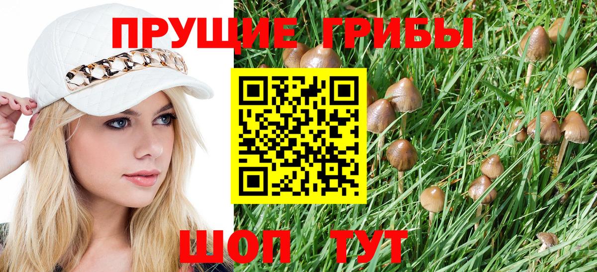 Галлюциногенные грибы GOLDEN TEACHER  Вход с VPN  Псилоцибиновые грибы Cubensis  Кунгур 